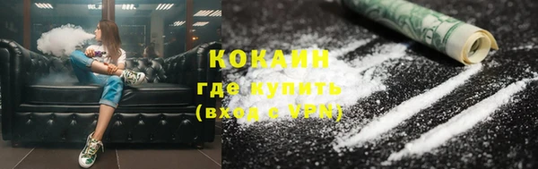 молекула духа Арсеньев