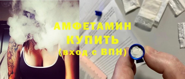 молекула духа Арсеньев
