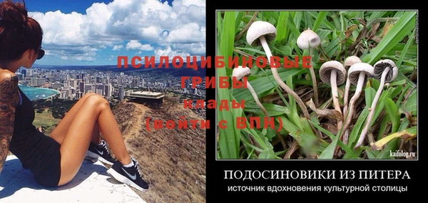 каннабис Аркадак