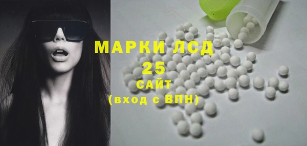 молекула духа Арсеньев