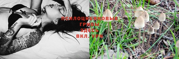 мет Армянск
