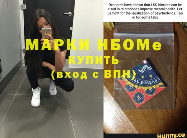 молекула духа Арсеньев