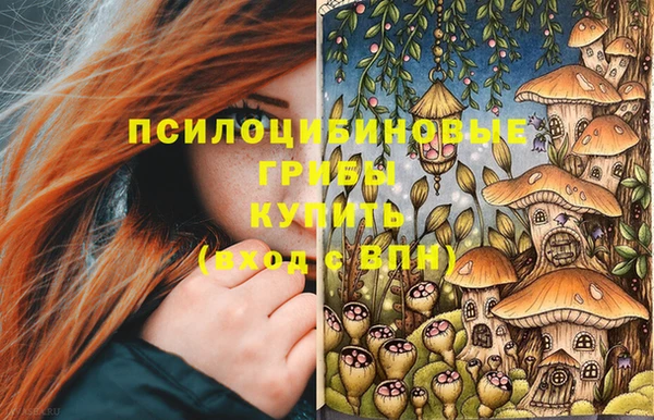 молекула духа Арсеньев