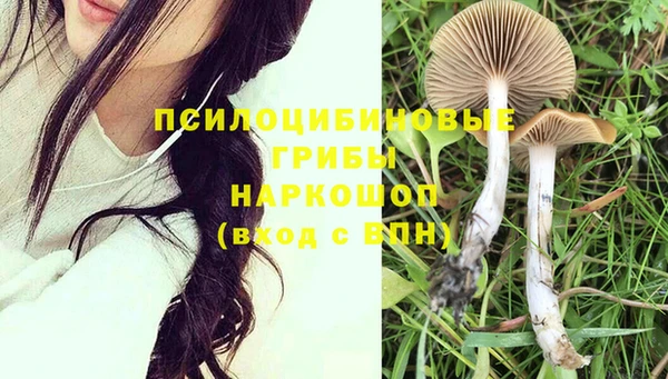 каннабис Аркадак