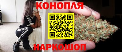 прущие крисы Тосно