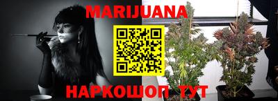 индика Троицк