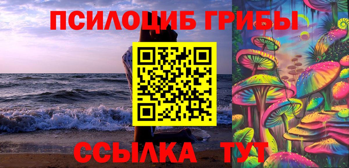 Галлюциногенные грибы Psilocybe Кириши
